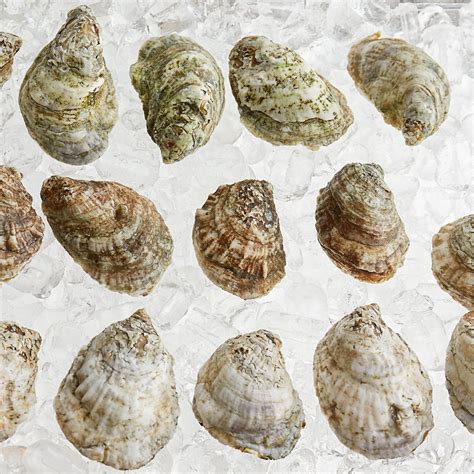 Rappahannock oysters - Top 10 Best Rappahannock Oyster Bar in Charleston, SC - November 2023 - Yelp - Rappahannock Oyster Bar - Charleston, The Darling, Leon's Fine Poultry and Oysters, Hank's Seafood Restaurant, The Ordinary, Chubby Fish, Well Hung Vineyard, Charleston Harbor Fish House